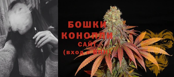 стаф Белокуриха