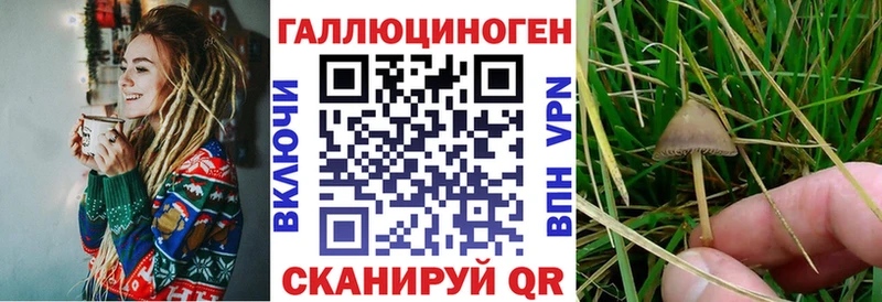 Галлюциногенные грибы MAGIC MUSHROOMS  Черняховск 